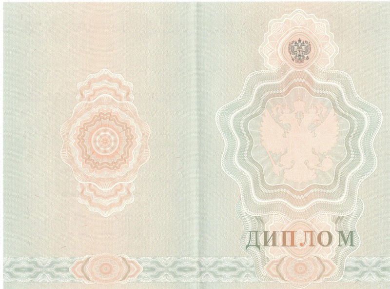 Купить Диплом о начальном образовании 2007-2009 годов в Нижнем Новгороде Купить Диплом о начальном образовании 2007-2009 годов в Нижнем Новгороде
