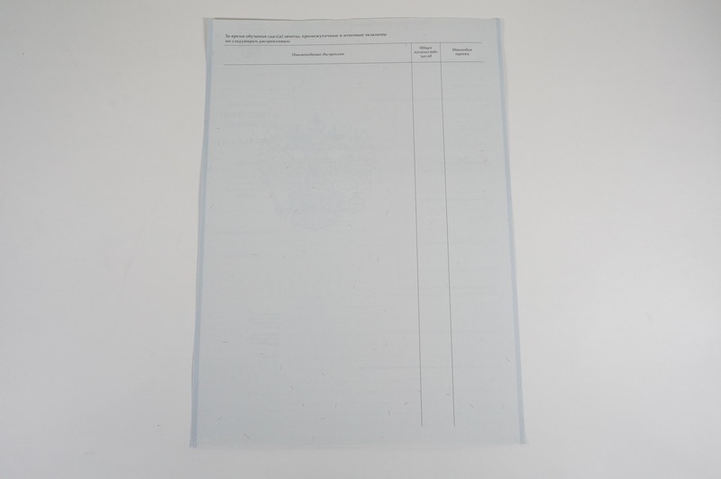 Диплом о начальном образовании 2007-2009 годов в Нижнем Новгороде Диплом о начальном образовании 2007-2009 годов в Нижнем Новгороде