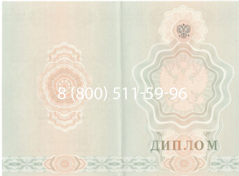Купить Диплом училища 2007-2009 годов в Нижнем Новгороде Купить Диплом училища 2007-2009 годов в Нижнем Новгороде